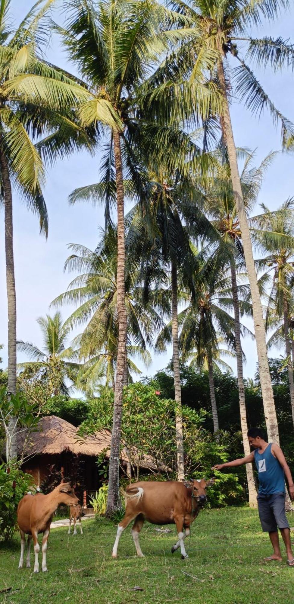 Lendang Eco Lodge Senggigi Buitenkant foto