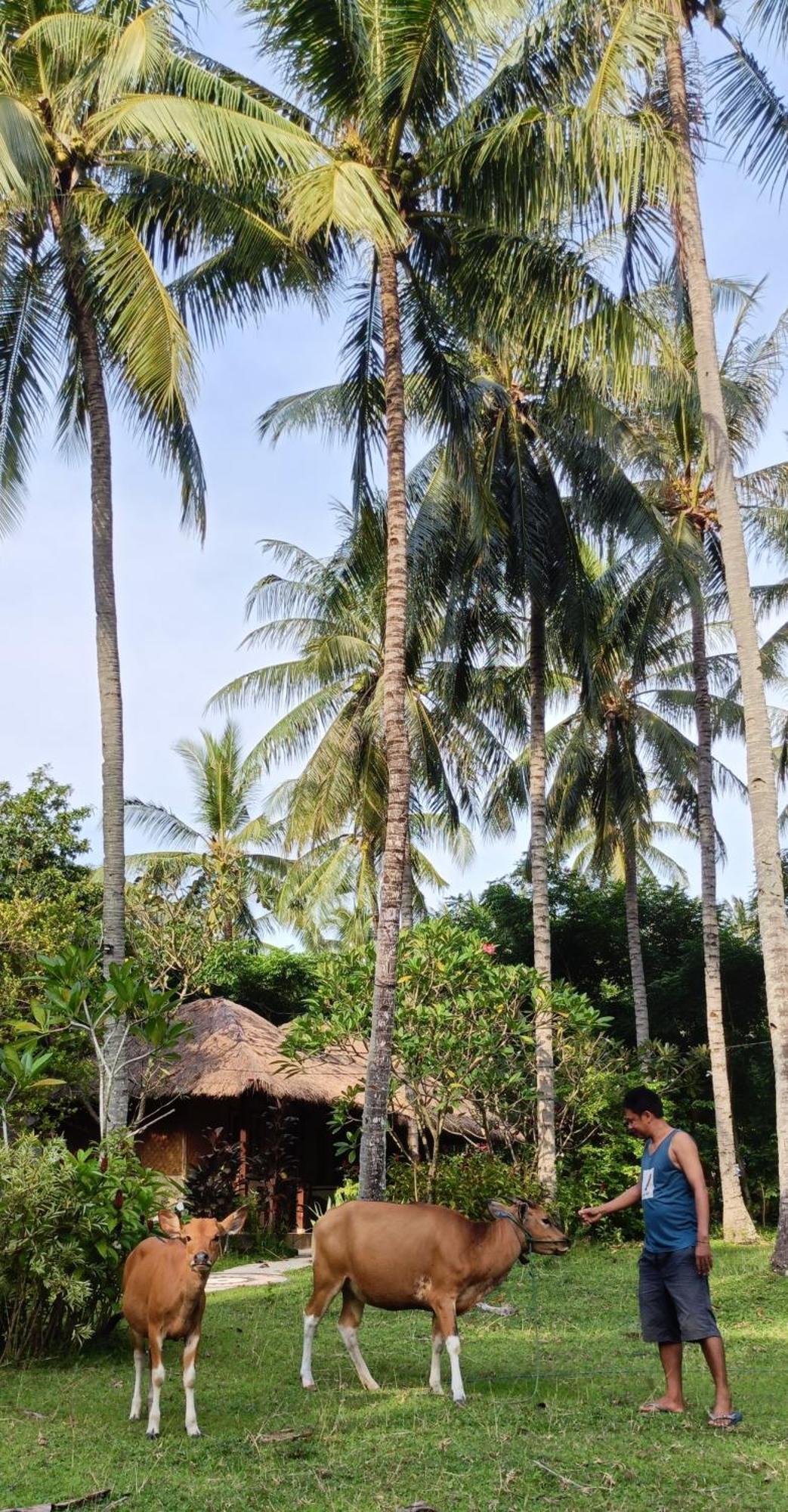 Lendang Eco Lodge Senggigi Buitenkant foto