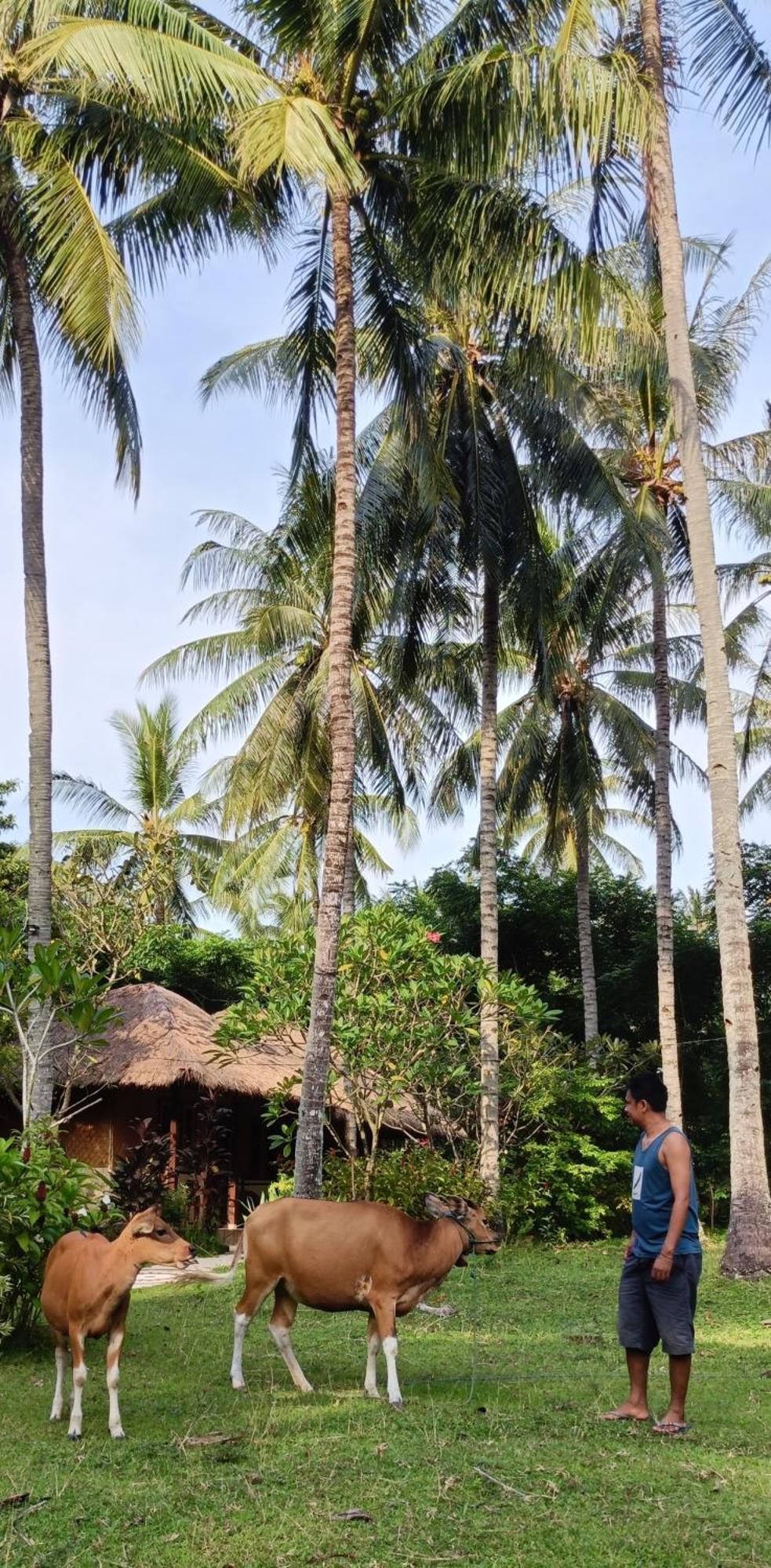 Lendang Eco Lodge Senggigi Buitenkant foto